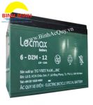 Lecmax 6-DZM-12( 12V/12Ah)